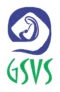 25 logo gsvs