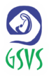 25 logo gsvs