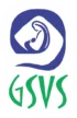 25 logo gsvs
